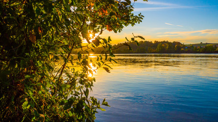 Wunderschöne goldene Herbstlandschaft bei Sonnenschein in Regensburg