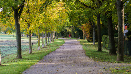 Wunderschöne goldene Herbstlandschaft bei Sonnenschein in Regensburg