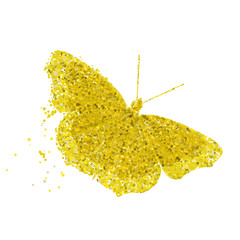 Isolated on white golden butterfly vector