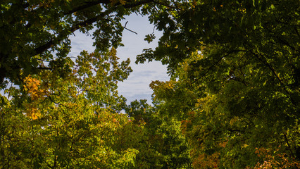 Wunderschöne goldene Herbstlandschaft bei Sonnenschein in Regensburg