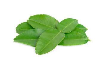 Green leaf, Bergamot  Leaf  (kaffir lime) isolated on white background