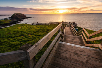 Wood pathway at the Nobbies centre on Phillips island during sunset, Victoria, Australia