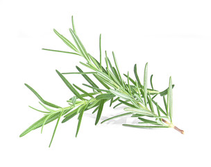 Rosemary isolated on white background.