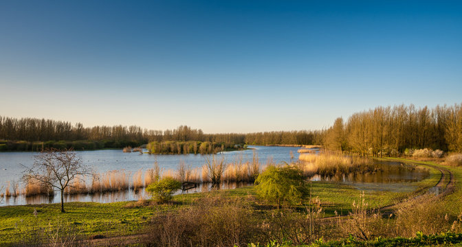 autumn landscape with lake