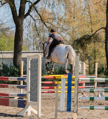 Amateur Springreiten als Leistungssport mit Hindernis