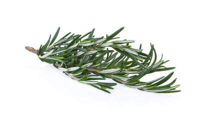 Fototapeta premium Rosemary isolated on white background
