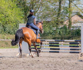 Amateur Springreiten als Leistungssport mit Hindernis