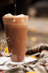Christmas drink. Hot chocolate with marshmallow. Christmas, winter concept. Close up. vertical photo