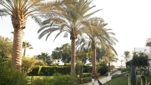 Girl walks near palm trees by the sea
