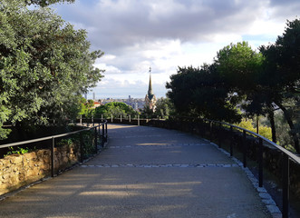 bridge in the park