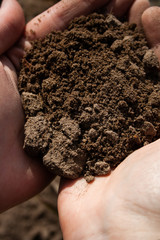 Close-up of a human hand holding the earth, earth day concept.