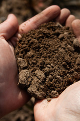 Close-up of a human hand holding the earth, earth day concept.