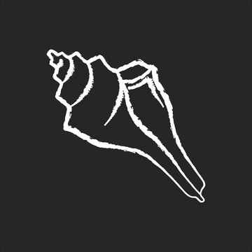 recommend clip art: Triton shell chalk white icon on black background