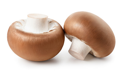 Champignon mushrooms isolated on white