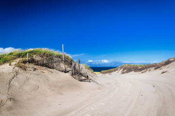 Cape Cod National Seashore Massachusetts sand dunes landscape