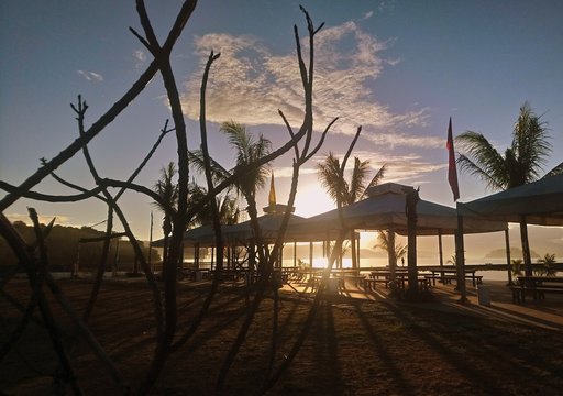 Sunrise behind the silhouette of cottages and small branches of a tree.