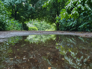 Yaroslavl. Warm evening in Neftyanik Park. Park refinery. Reflection of colorful sunset in the lake. Peace and quiet surrounded by green trees