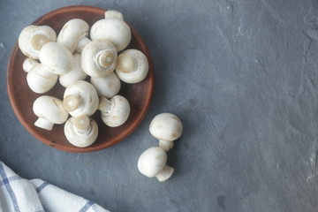 Fototapeta na wymiar on a gray background in a plate of mushrooms