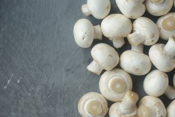 mushrooms on a grey background
