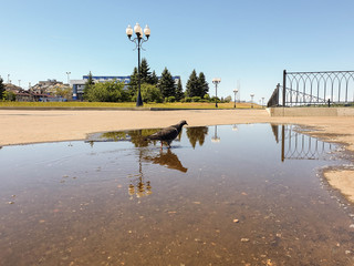 Rybinsk. The Yaroslavl region. Volga embankment. Beautiful lights with reflection in the water.