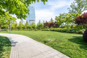 road in park