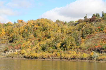 Autumn On The Riverbank, Gold Bar Park, Edmonton, Alberta