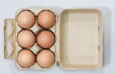 eggs in pack box on white background with copy space