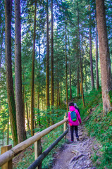 Obraz premium young girl hiker walks down paths in the shady forest