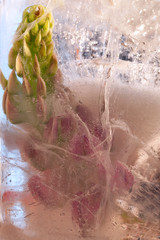 Background of  lupine  flower   in ice   with air bubbles.