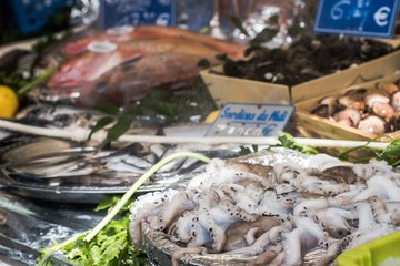 Seafood at a market