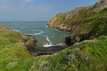 Fototapeta na wymiar Le Pulec, Jersey, U.K. Coastal Spring landscape.