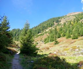 Fototapeta na wymiar nature trails for walking in the mountains.