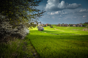 Lubelska wieś © Adam Ćwil