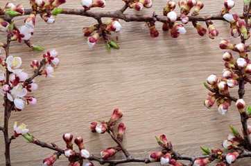 Frame of spring flowers on a wooden background.