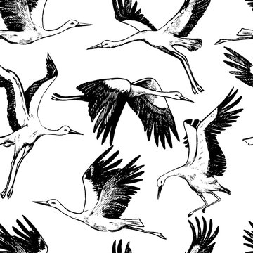 Hand drawn vector seamless pattern of beautiful flying storks. Realistic ink wild bird cranes background. Vintage monochrome wallpaper. Gentle surface design for wrap, textile, postcard, print, fabric