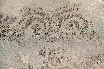 Crab nest, kuta beach, Bali, Indonesia.