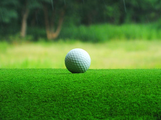 Golf balls on the field, green grass race, natural background and beautiful light