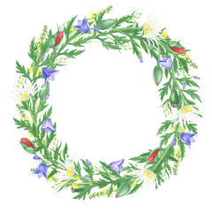 Wreath of wildflowers, watercolor painting. For design cards, invitations and prints.