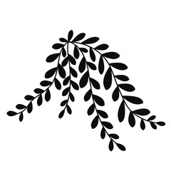 Branch. Home plant. Simple vector illustration.