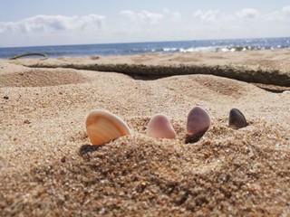 Snail view of beach with sand