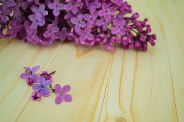 Obraz na płótnie Canvas lilac flowers on wooden background