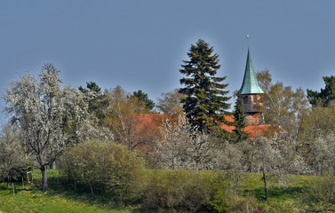 Belsener Kapelle zwischen blühenden Bäumen