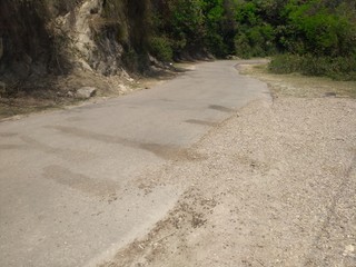 dirt road in the forest