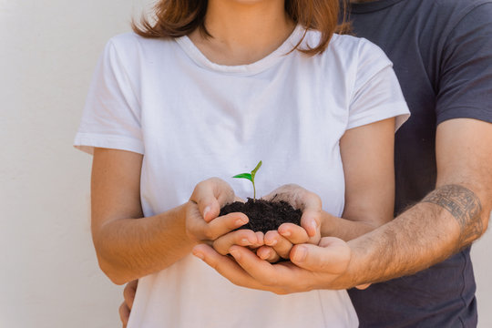 Couple holding and caring a little growing plant. Eco friendly and natural concept. Plant and soil on their hands. Close up to the hands.