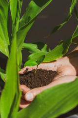 Woman planting a little cute plant between a lot of green plants. Eco friendly and natural concept.