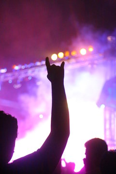 Picture of rock concert, music festival, New Year eve celebration, party in nightclub, dance floor, disco club, many people standing with raised hands up and clapping, happiness and night life concept