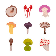 bundle of fungus set icons