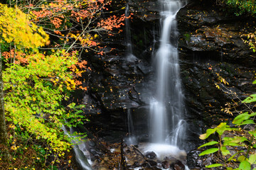 Refreshing Waterfall Hidden Deep in the Autumn Forest