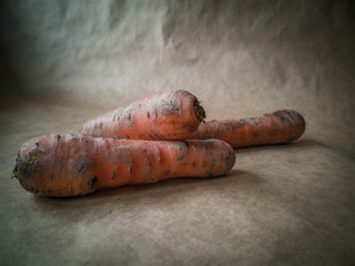 Dirty orange carrots on a dark background 