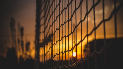 sunset over the fence
